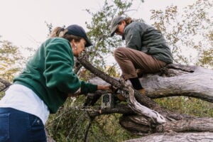 Volunteers attaching camera trap to tree at new African Impact Kruger Base