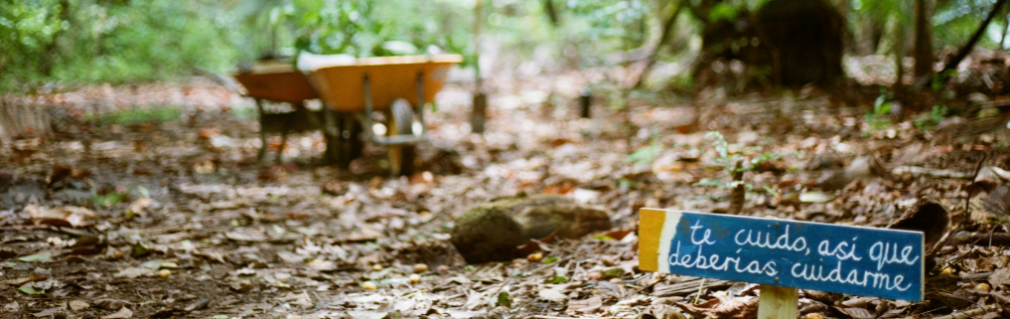 Image in Costa Rica with plants in wheel barrow and sign in Spanish saying I take care of you, so you should take care of me.