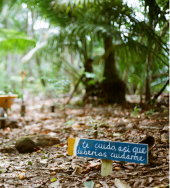 Image in Costa Rica with plants in wheel barrow and sign in Spanish saying I take care of you, so you should take care of me.